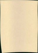 A Private Function - Vintage Photograph