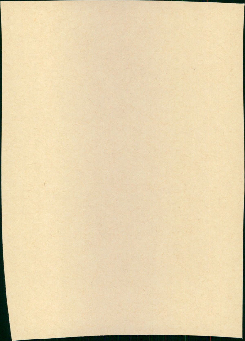 A Private Function - Vintage Photograph