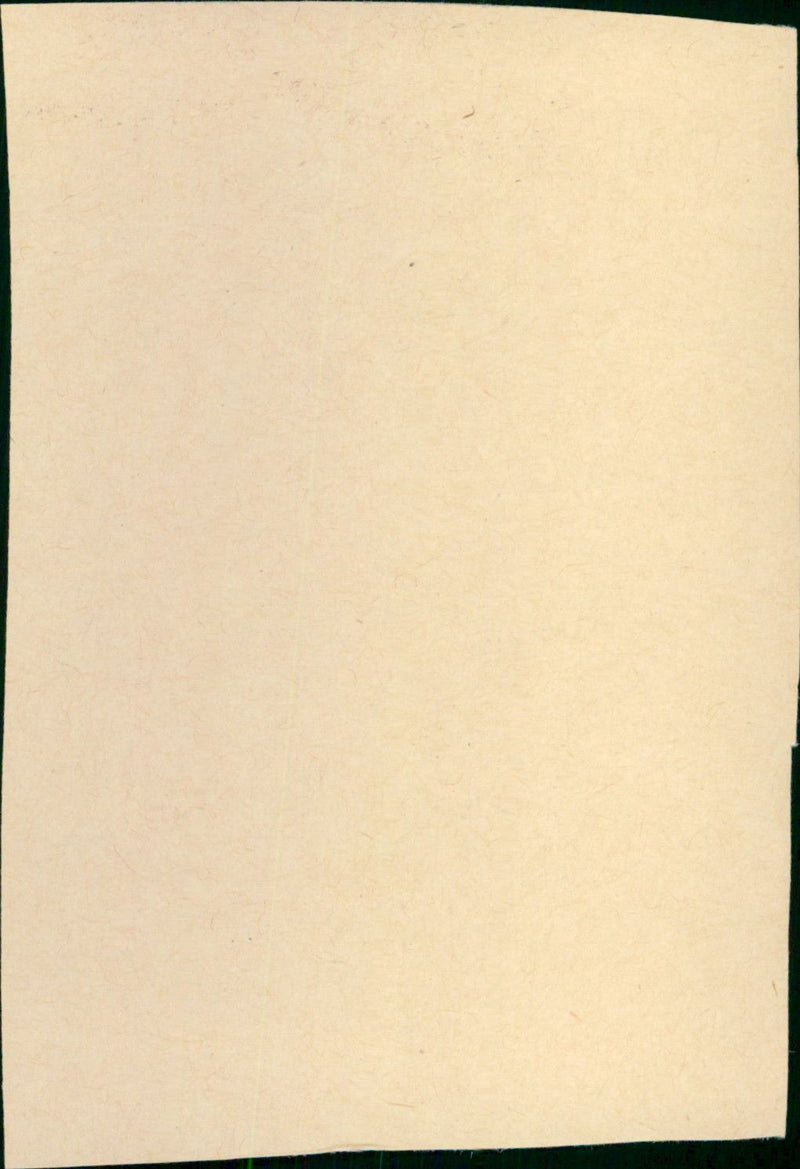 Lost in the Desert - Vintage Photograph