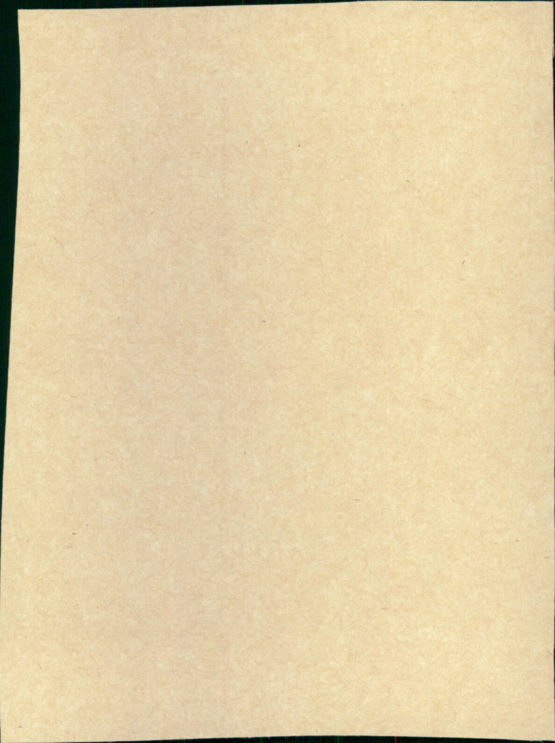 Lost Flight - Vintage Photograph