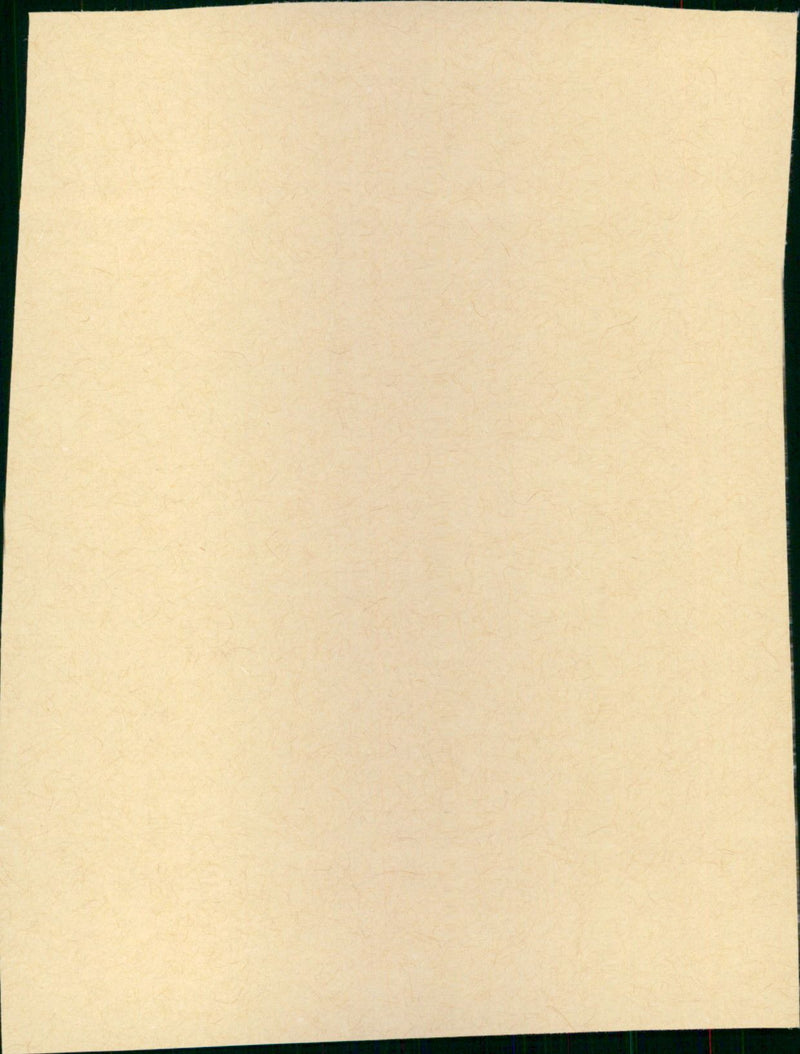 L'Opéra-Mouffe - Vintage Photograph