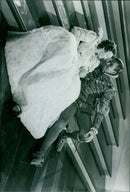 The Private Lives of Elizabeth and Essex - Vintage Photograph