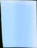 Privates on Parade - Vintage Photograph