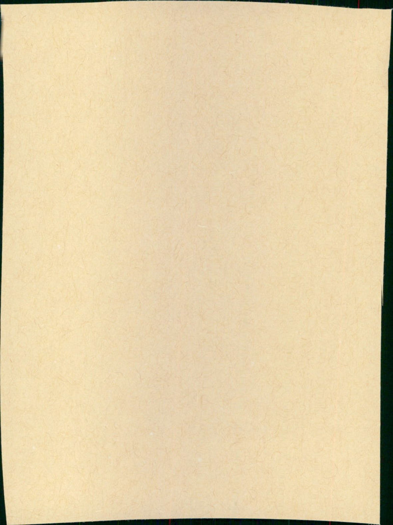 Psycho - Vintage Photograph