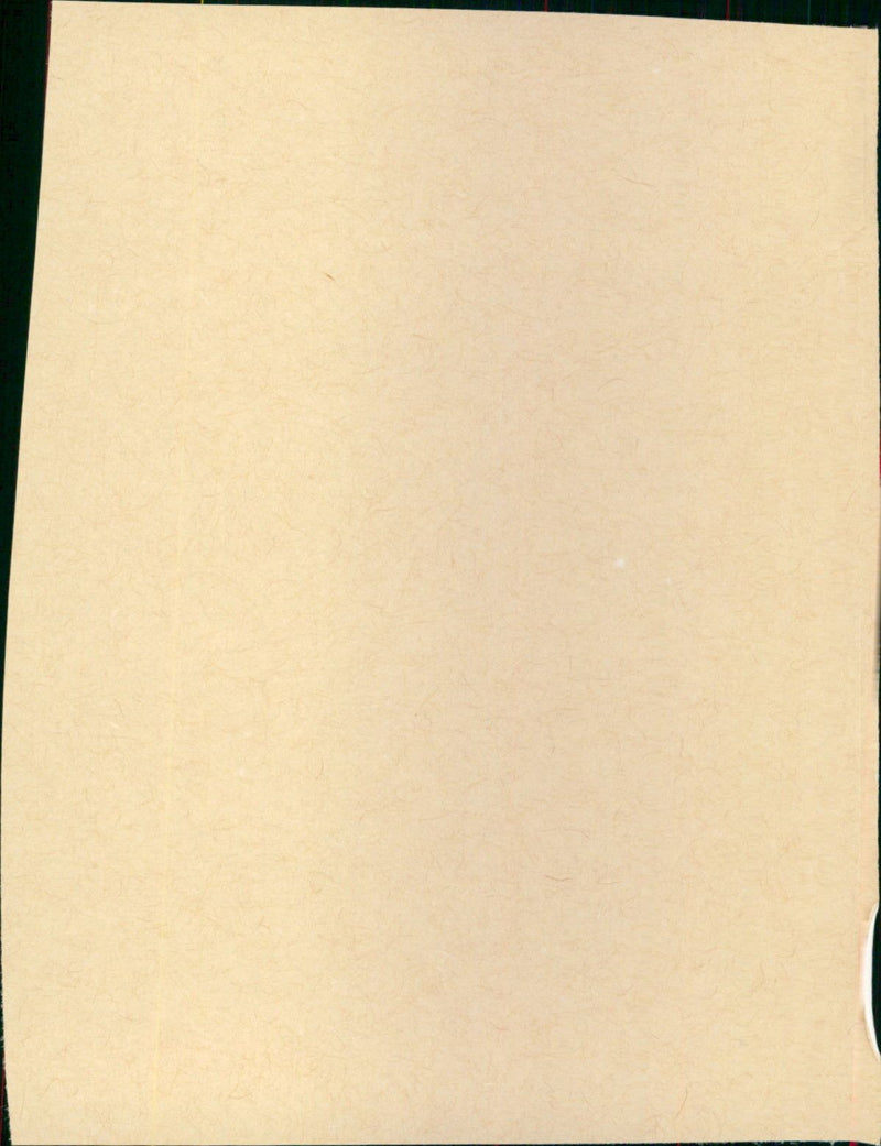 The Prize - Vintage Photograph