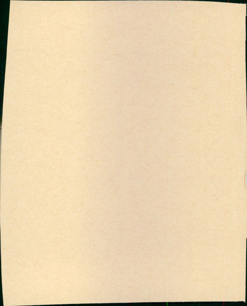 Le Professionnel - Vintage Photograph