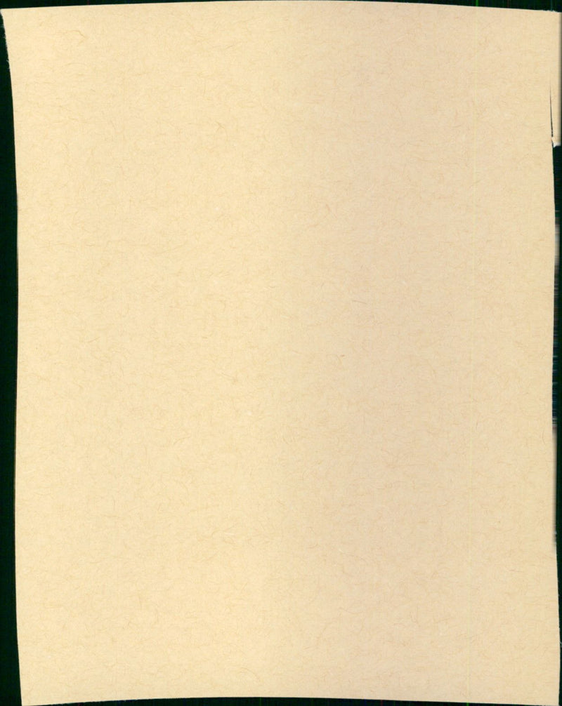 Profil bas - Vintage Photograph