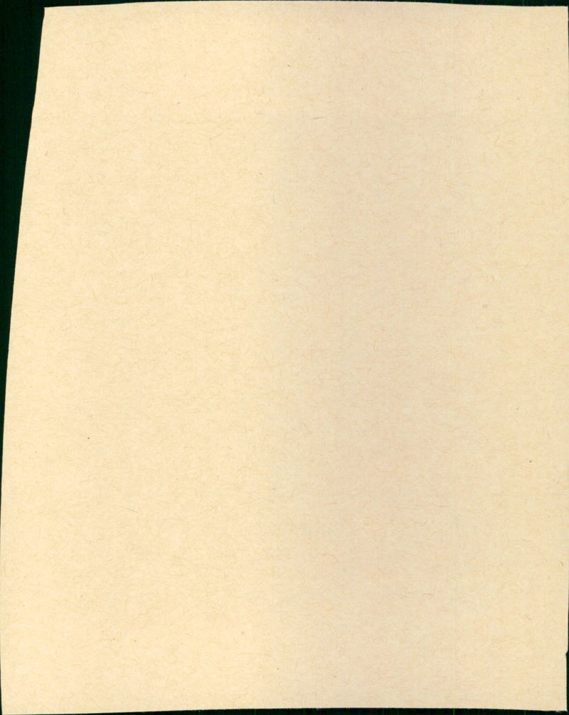 Promise Her Anything - Vintage Photograph