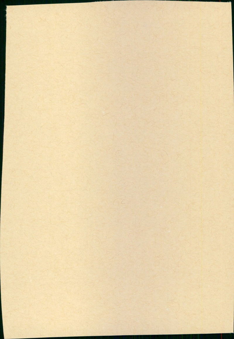 Il provinciale - Vintage Photograph