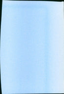 The Prowler - Vintage Photograph