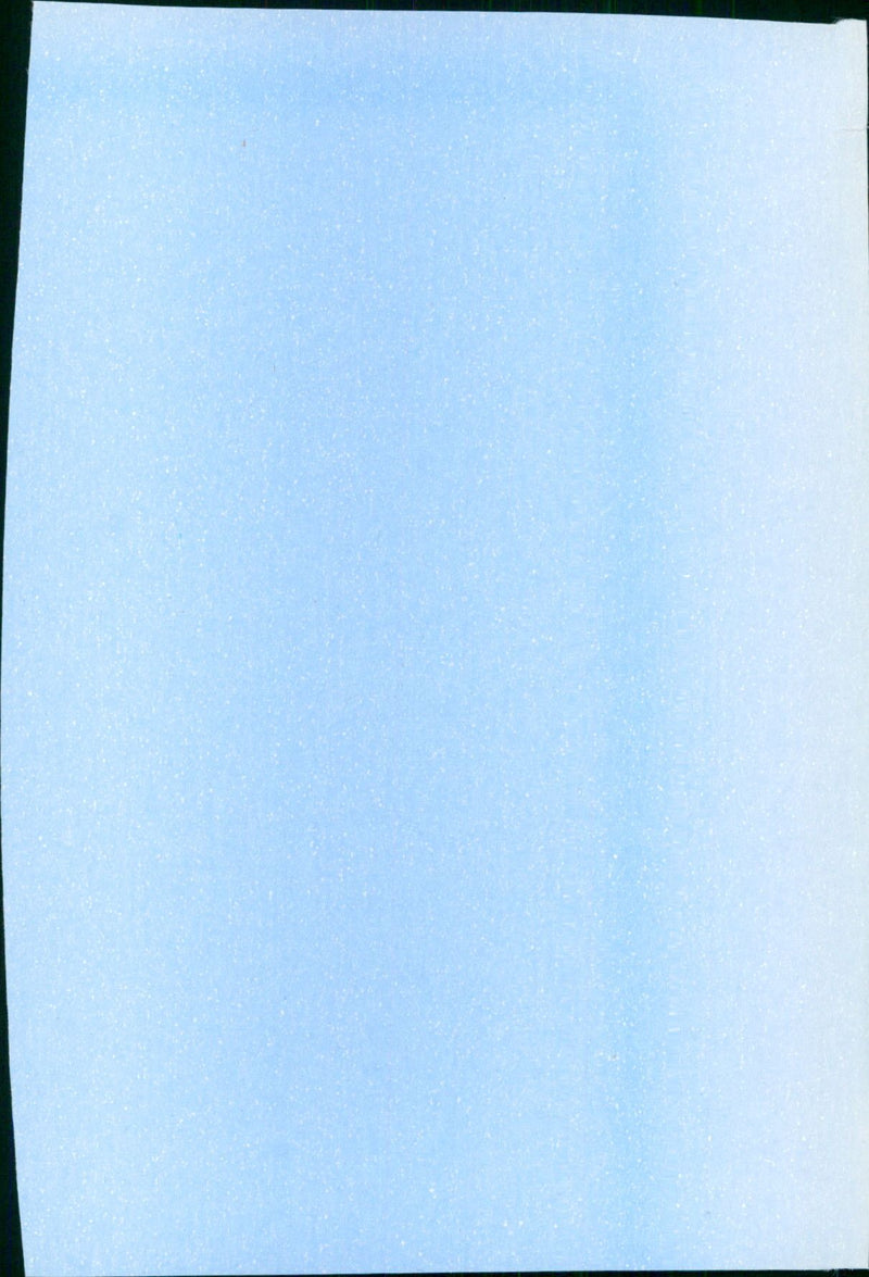 The Prowler - Vintage Photograph