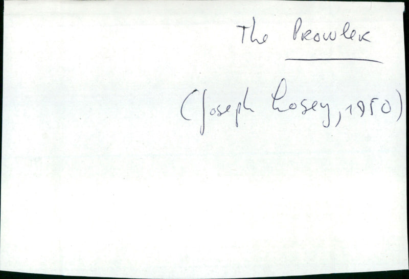 The Prowler - Vintage Photograph