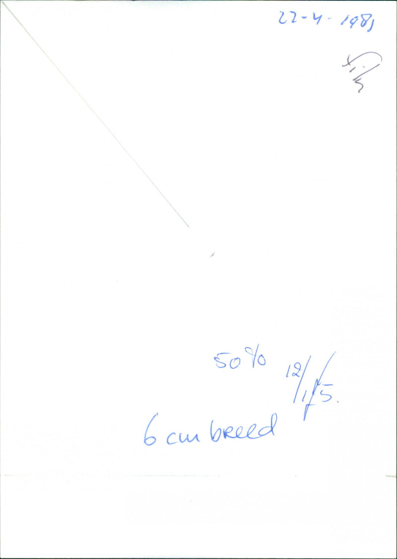 Diane Keaton - Vintage Photograph