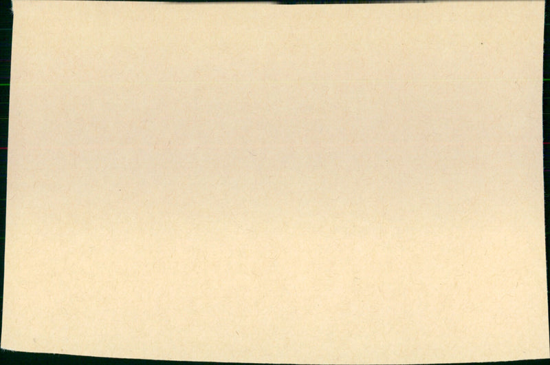 Look Who's Talking - Vintage Photograph