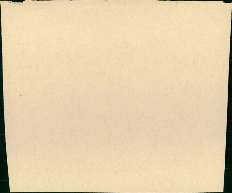 Longarm - Vintage Photograph