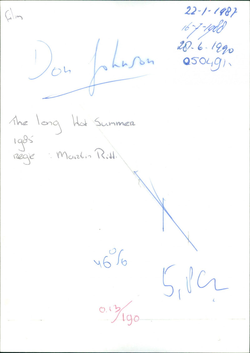 Don Johnson - The Long Hot Summer - Vintage Photograph