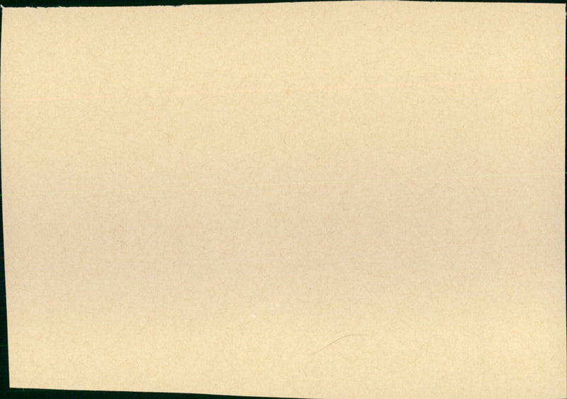 The Long Hot Summer - Vintage Photograph