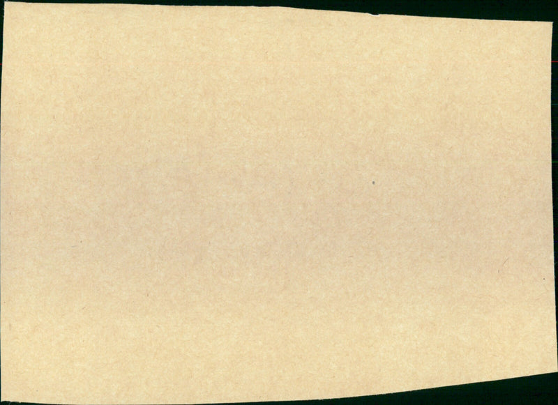 The Long Goodbye - Vintage Photograph