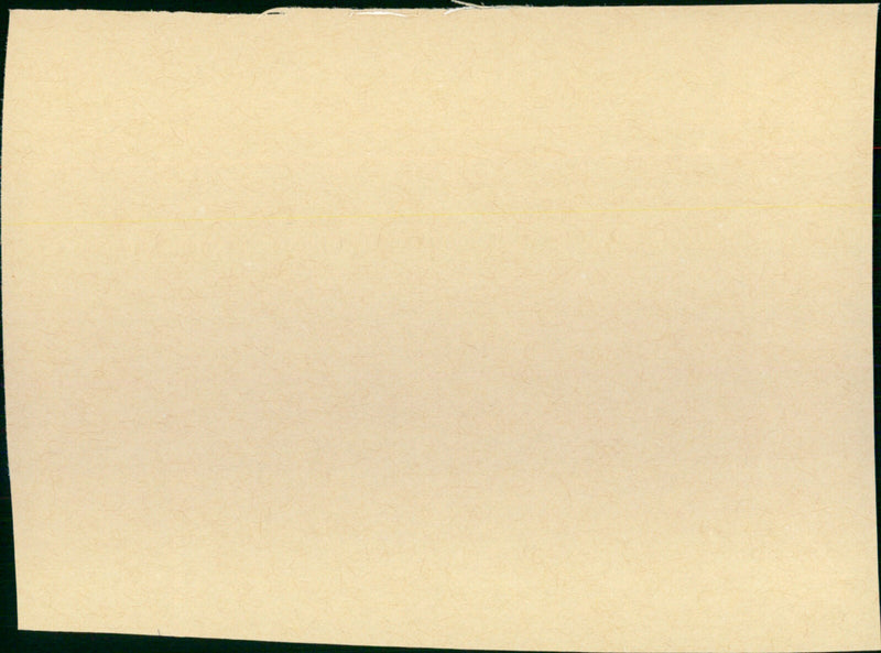 Lonely Are the Brave - Vintage Photograph