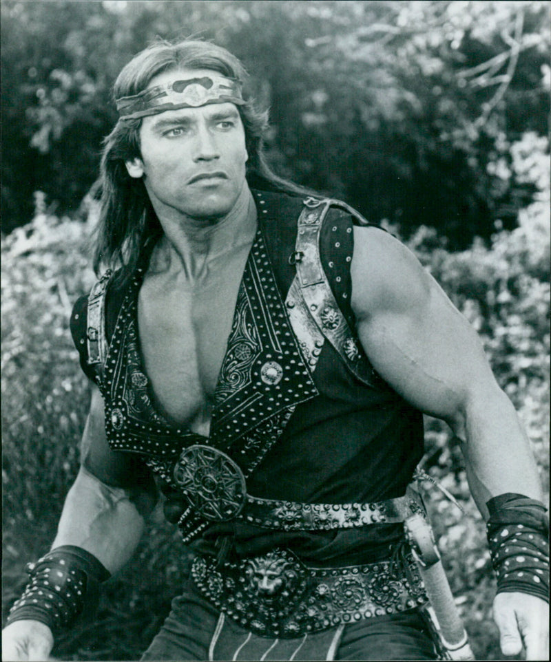Arnold Schwarzenegger - Vintage Photograph