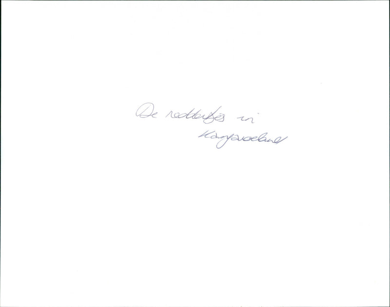 The Rescuers Down Under - Vintage Photograph