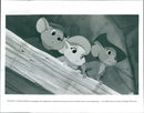 The Rescuers Down Under - Vintage Photograph
