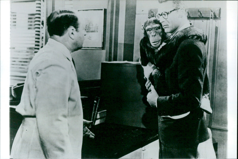 Monkey Business - Vintage Photograph