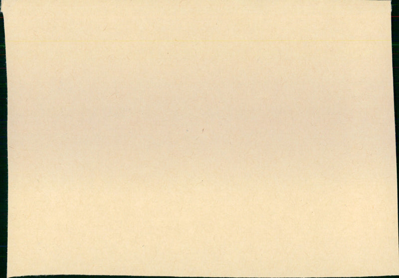 The Reluctant Debutante - Vintage Photograph