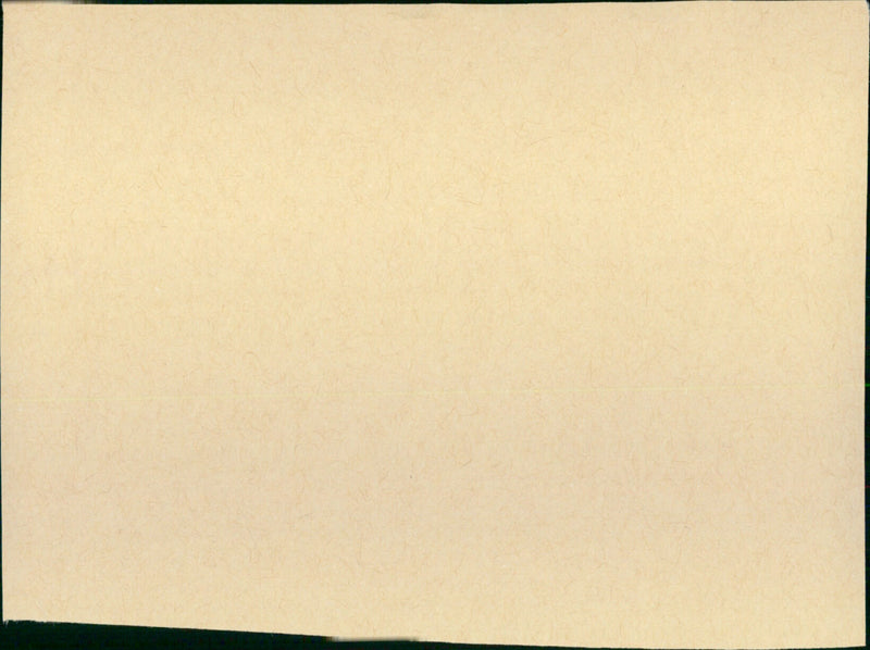 The Maurauders - Vintage Photograph