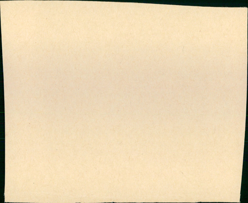 Mystic Pizza - Vintage Photograph