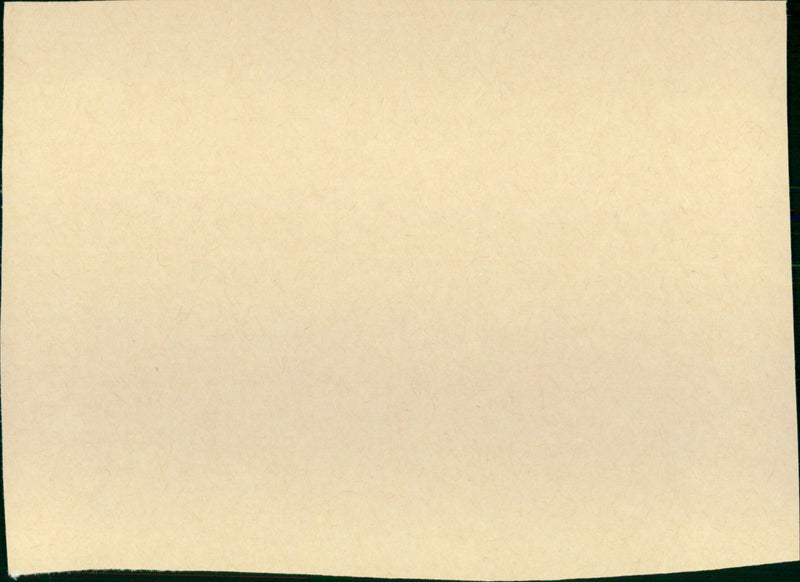 Renaissance Man - Vintage Photograph