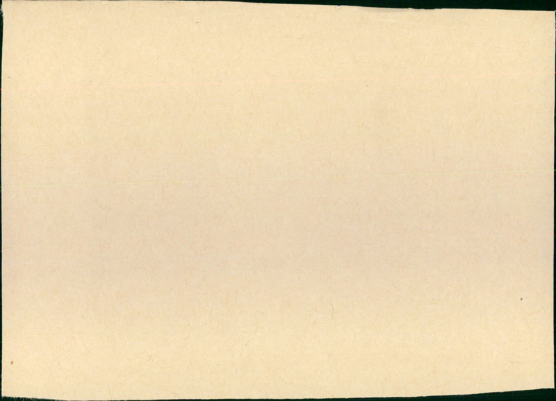 Repo Man - Vintage Photograph