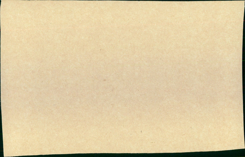 The Reptile - Vintage Photograph