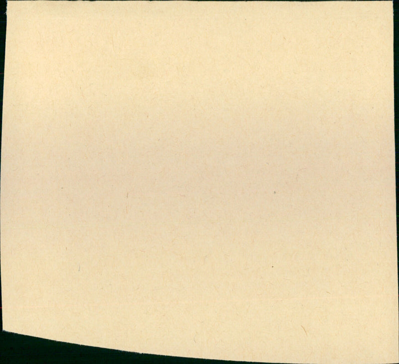 Mona Lisa - Vintage Photograph