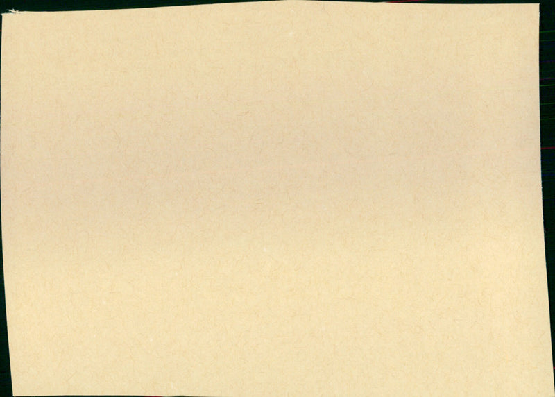 Police Python 357 - Vintage Photograph