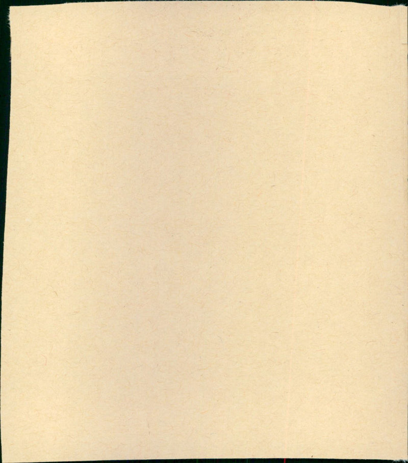 Mapantsula - Vintage Photograph