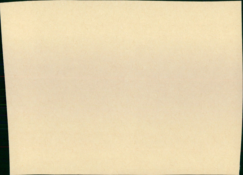 Point de chute - Vintage Photograph