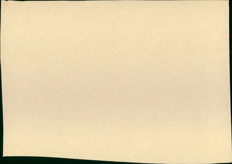 The Many Adventures of Winnie the Pooh - Vintage Photograph