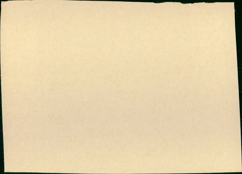 Mildred Pierce - Vintage Photograph