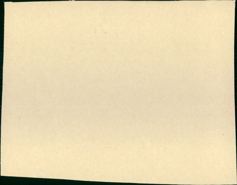 The Milagro Beanfield War - Vintage Photograph