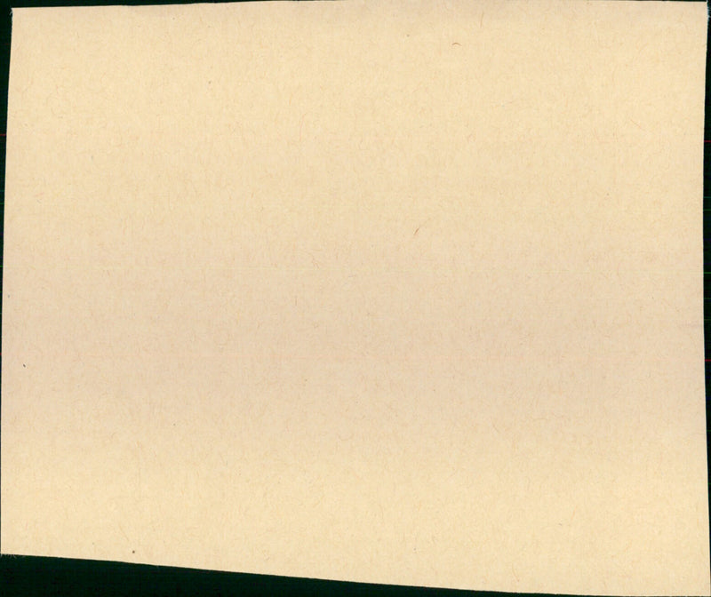 Das Mikroskop - Vintage Photograph