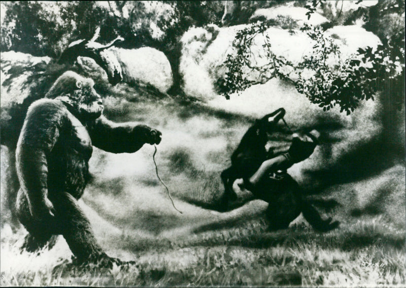 Mighty Joe Young - Vintage Photograph
