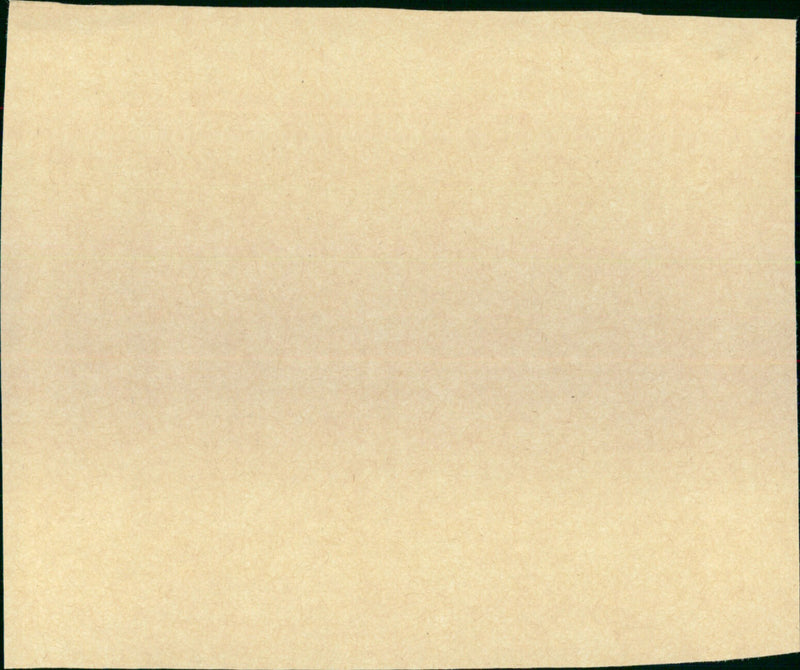 Mighty Joe Young - Vintage Photograph