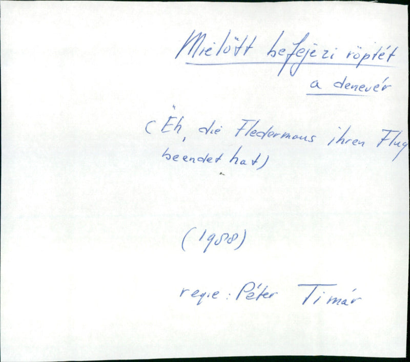 Mielött befejezi röptét a denevér - Vintage Photograph