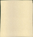 Mielött befejezi röptét a denevér - Vintage Photograph