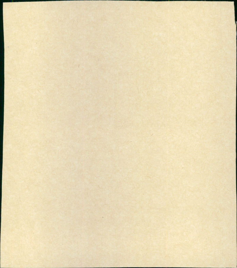 Mielött befejezi röptét a denevér - Vintage Photograph