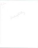 Midnight Sting - Vintage Photograph