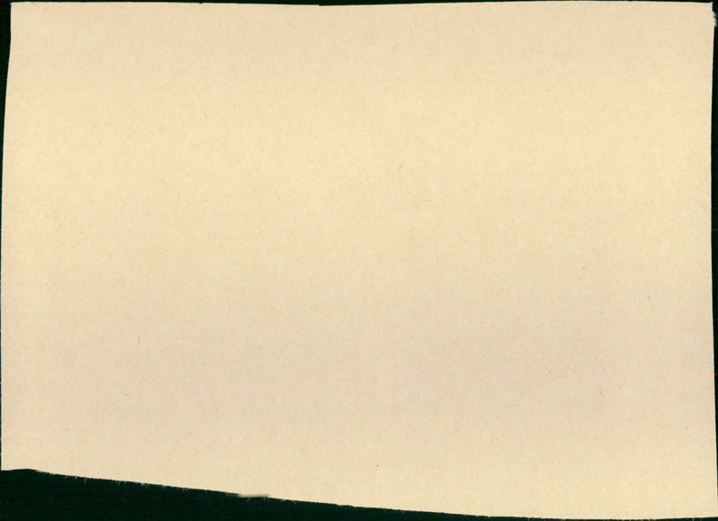 The Plot Against Harry - Vintage Photograph