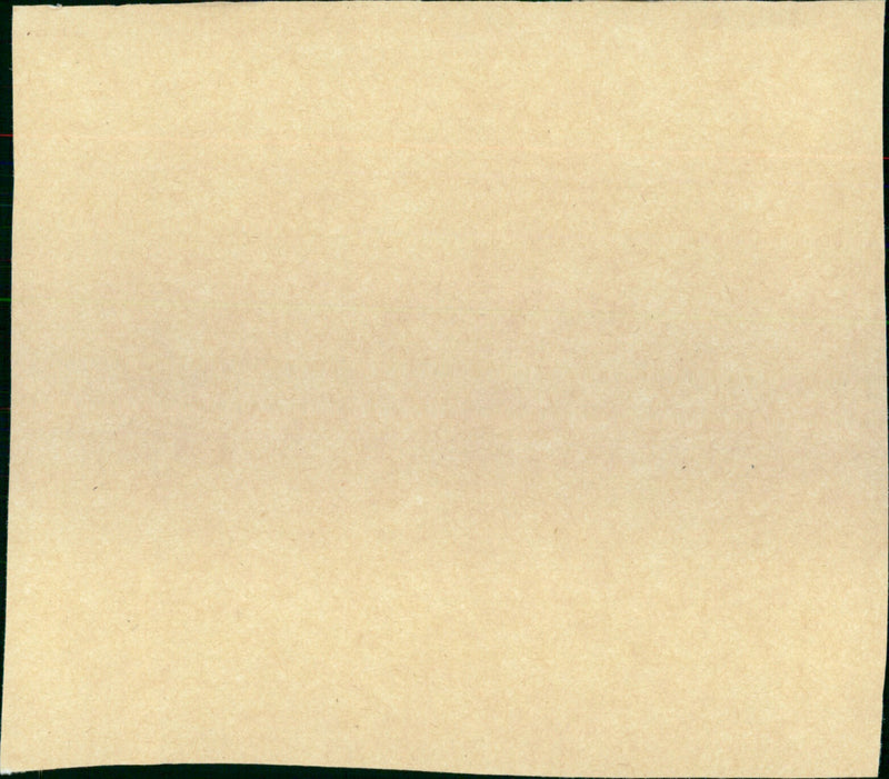 Midnight Lace - Vintage Photograph