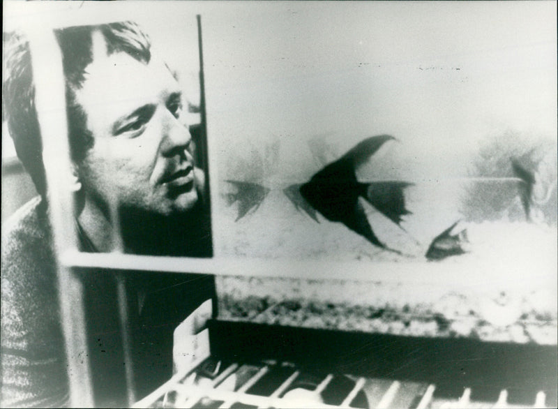 Mickey Rourke - Rumble Fish - Vintage Photograph